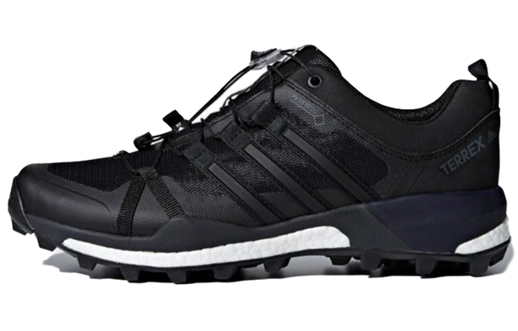 adidas Terrex Skychaser Gtx